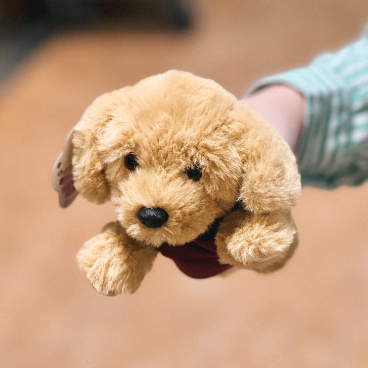 Iowa State Golden Retriever Plush Puppy (7")